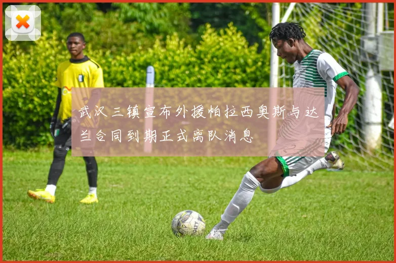 武汉三镇宣布外援帕拉西奥斯与达兰合同到期正式离队消息