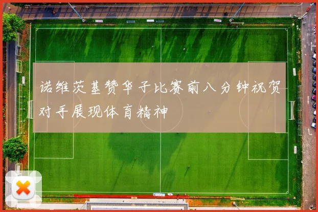 诺维茨基赞华子比赛前八分钟祝贺对手展现体育精神